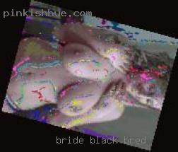 bride black bred